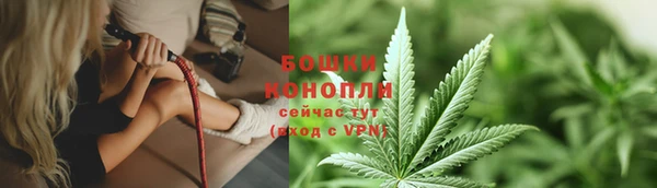 крисы Краснотурьинск